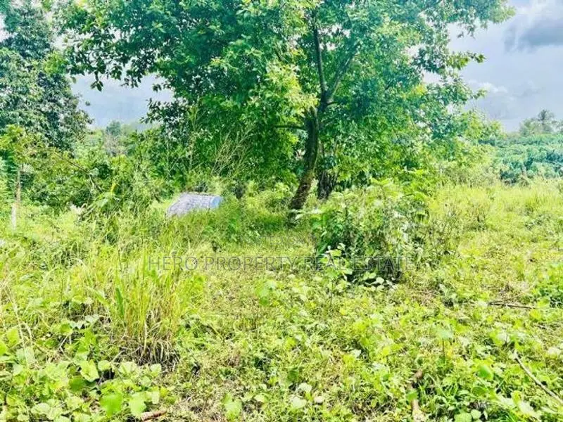 (NSD1021)2 Acres Land for Sale in Kottawa