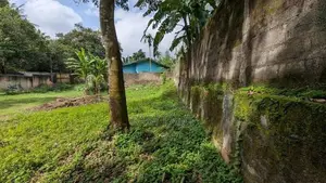 කිරිබත්ගොඩ - මාකොල වටිනා ඉඩම් කැබලි දෙකක් විකිණීමට