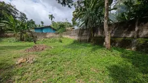 කිරිබත්ගොඩ - මාකොල වටිනා ඉඩම් කැබලි දෙකක් විකිණීමට