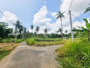 ලෝලුවාගොඩ දම්රෝ කර්මාන්ත ශාලාව අසලින් වටිනා බිම් කොටසක් විකිණීමට