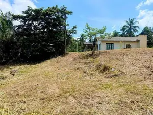 පල්ලෙවෙල දුම්රිය ස්ථානයට ලගින් පර්චස් 15/20 බිම් කොටස් 2 ක් විකිණීමට