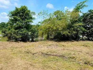 පල්ලෙවෙල දුම්රිය ස්ථානයට ලගින් පර්චස් 15/20 බිම් කොටස් 2 ක් විකිණීමට
