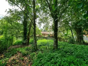 Land for Sale in Miriswatta