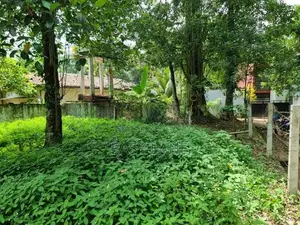 Land for Sale in Miriswatta