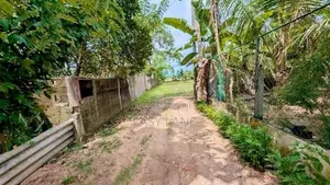 ගම්පහ – ඉඳිගොල්ලෙන් වටිනා බිම් කොටසක් විකිණීමට