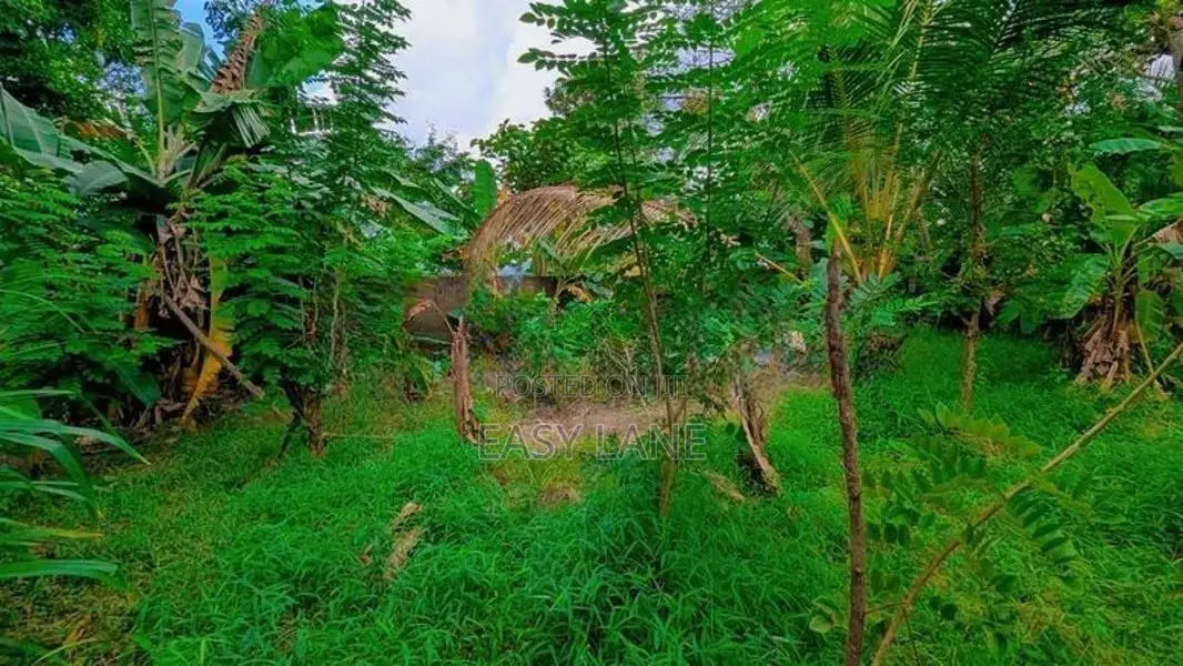 ගම්පහ – ඉඳිගොල්ලෙන් වටිනා බිම් කොටසක් විකිණීමට