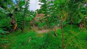 ගම්පහ – ඉඳිගොල්ලෙන් වටිනා බිම් කොටසක් විකිණීමට