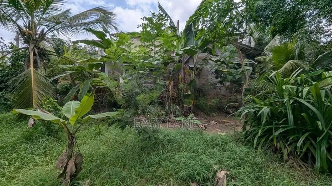 ගම්පහ – ඉඳිගොල්ලෙන් වටිනා බිම් කොටසක් විකිණීමට
