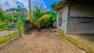 කඩවත ඇල්දෙනියෙන් අඩක් නිමකල නිවසක්