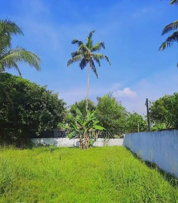 කැබානා ව්‍යාපෘතියට වත්තලින් සුපිරිම බිම් කොටසක්