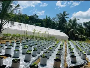 Land For Sale Gampaha