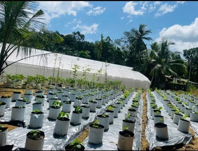 Land For Sale Gampaha