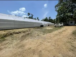 Land For Sale Gampaha