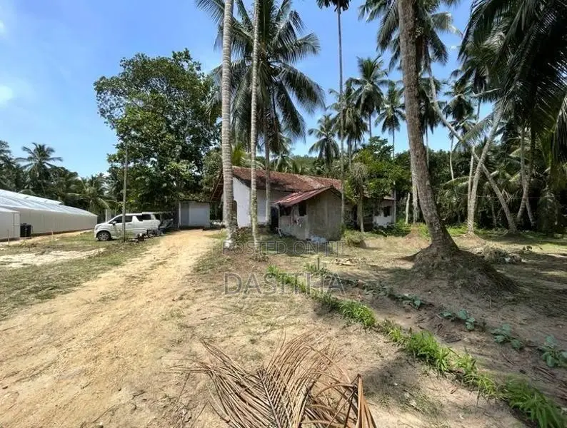 Land For Sale Gampaha