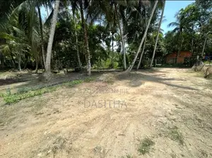 Land For Sale Gampaha