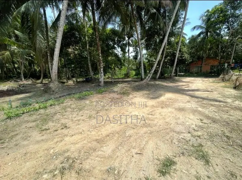 Land For Sale Gampaha