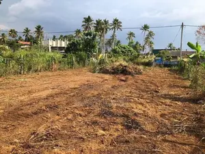 යක්කල - කලගෙඩිහේන වීරගුල හැම තැනම ලගින් වටිනා ඉඩමක්