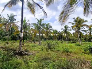 කුලියාපිටිය - පළුගමුවෙන් වටිනා ඉඩමක් විකිණීමට