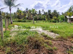 කුලියාපිටිය - පළුගමුවෙන් වටිනා ඉඩමක් විකිණීමට