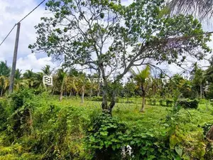 කුලියාපිටිය - පළුගමුවෙන් වටිනා ඉඩමක් විකිණීමට