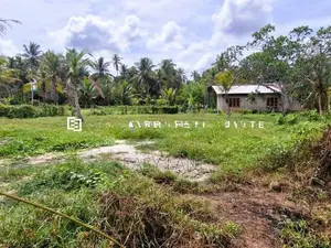 කුලියාපිටිය - පළුගමුවෙන් වටිනා ඉඩමක් විකිණීමට