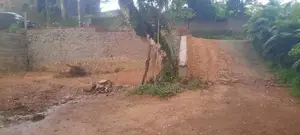 land for sale cheap price polghahena road hapugoda Kandana