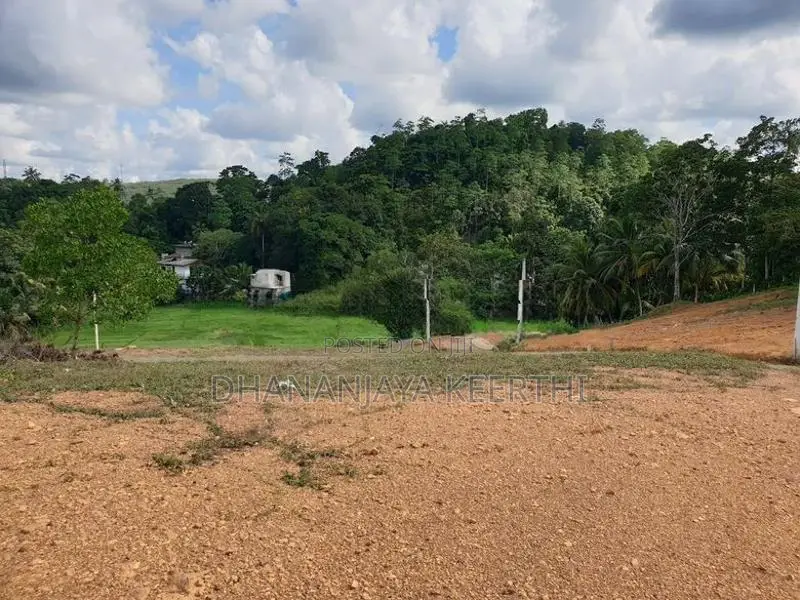 ගාල්ල, කලහේ පදිංචියට සුදුසු අනර්ඝ ඉඩමක් විකිණීමට