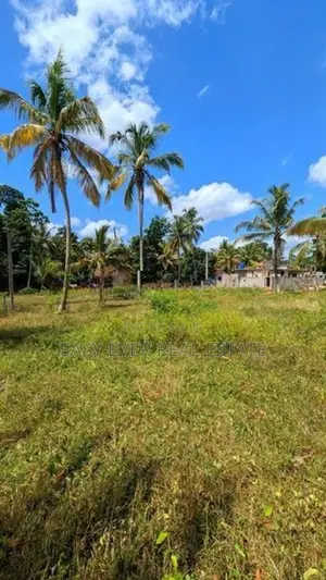 දිවුලපිටියෙන් අඩි 20 මාර්ග නේවාසික ඉඩම් කැබලි 2ක් විකිණීමට