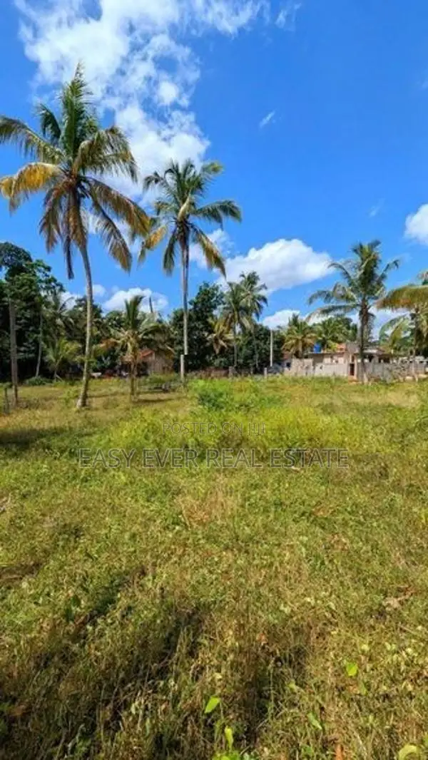 දිවුලපිටියෙන් අඩි 20 මාර්ග නේවාසික ඉඩම් කැබලි 2ක් විකිණීමට