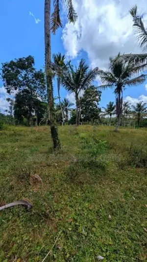 දිවුලපිටියෙන් අඩි 20 මාර්ග නේවාසික ඉඩම් කැබලි 2ක් විකිණීමට