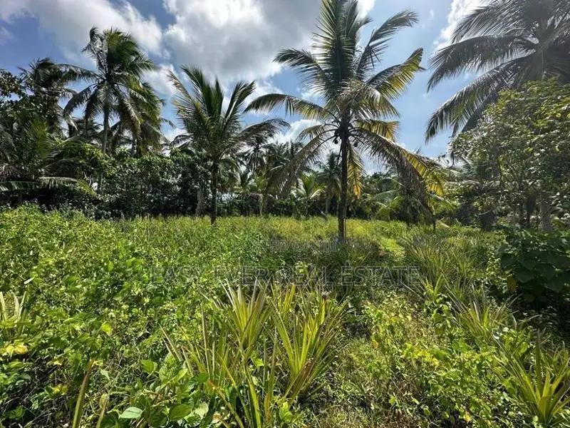 ගම්පහ – හේනේගම (ගඩුමන) වටිනා ඉඩමක් විකිණීමට