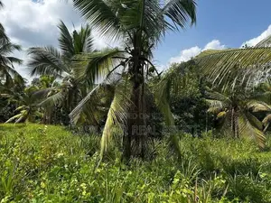 ගම්පහ – හේනේගම (ගඩුමන) වටිනා ඉඩමක් විකිණීමට