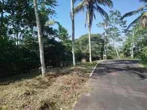 හෝමාගම හොරගල බිම් කොටස් විකිණීමට