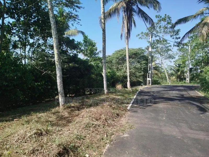 හෝමාගම හොරගල බිම් කොටස් විකිණීමට