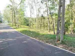 හෝමාගම හොරගල බිම් කොටස් විකිණීමට
