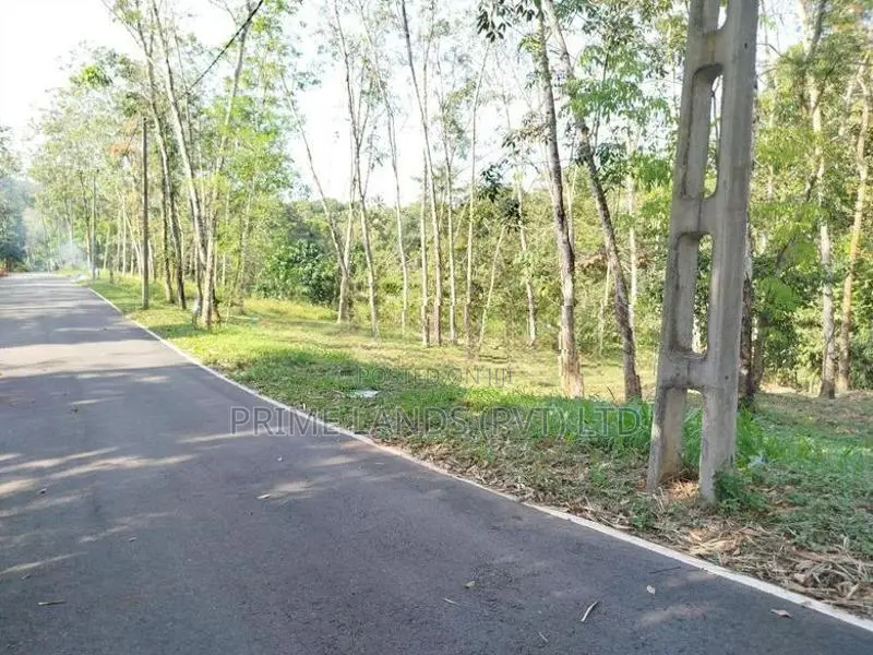 හෝමාගම හොරගල බිම් කොටස් විකිණීමට