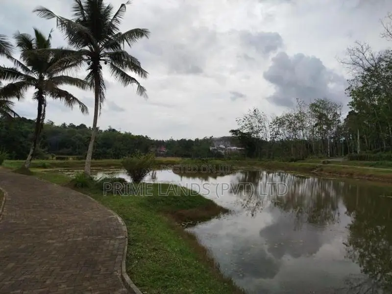 හෝමාගම හොරගල බිම් කොටස් විකිණීමට