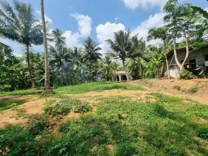 පැපිලිවල – මාහේන ප්‍රදේශයෙන් අගනා බිම්කොටස් විකිණීමට