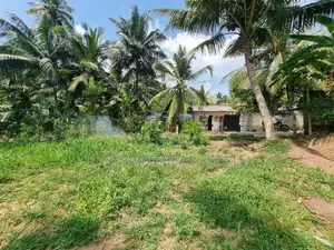 පැපිලිවල – මාහේන ප්‍රදේශයෙන් අගනා බිම්කොටස් විකිණීමට