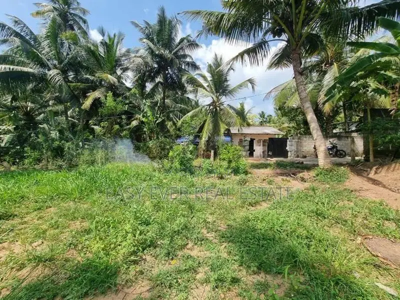 පැපිලිවල – මාහේන ප්‍රදේශයෙන් අගනා බිම්කොටස් විකිණීමට