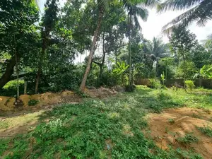 පැපිලිවල – මාහේන ප්‍රදේශයෙන් අගනා බිම්කොටස් විකිණීමට
