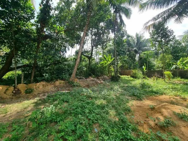පැපිලිවල – මාහේන ප්‍රදේශයෙන් අගනා බිම්කොටස් විකිණීමට