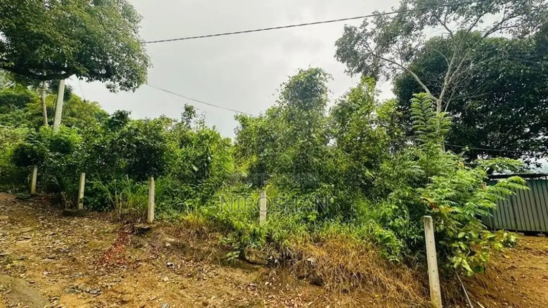 Land For Sale In Aladeniya Katugastota