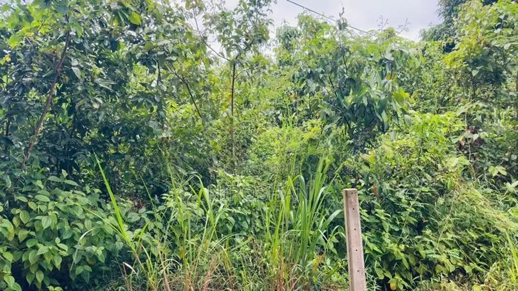 Land For Sale In Aladeniya Katugastota