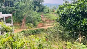 Land For Sale In Aladeniya Katugastota