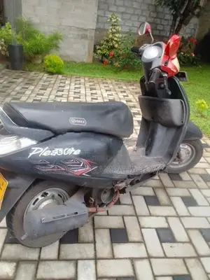 Hero Pleasure 2010