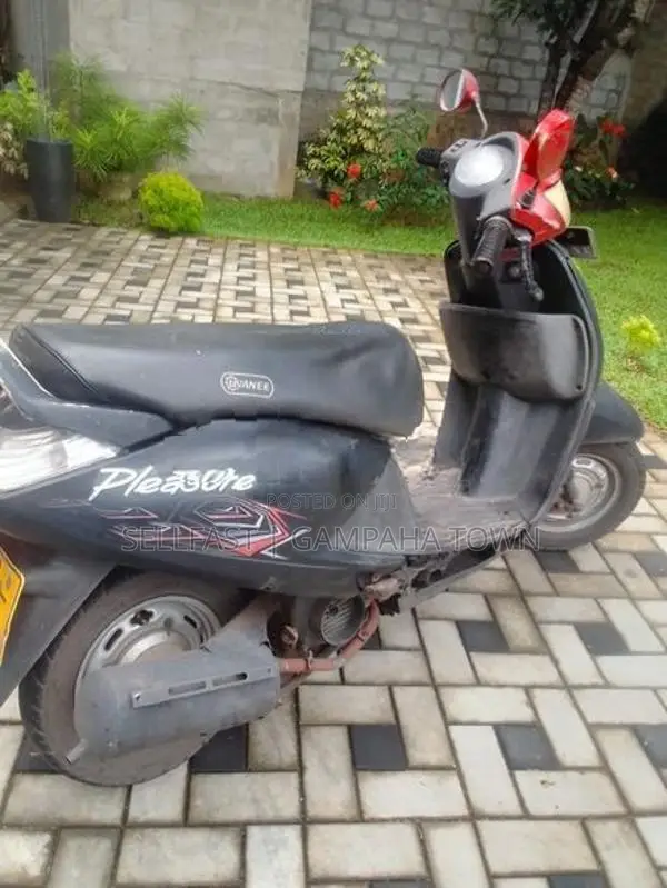Hero Pleasure 2010