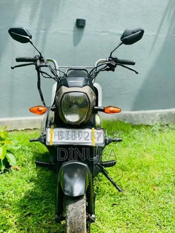 Honda Navi Onlight 2019