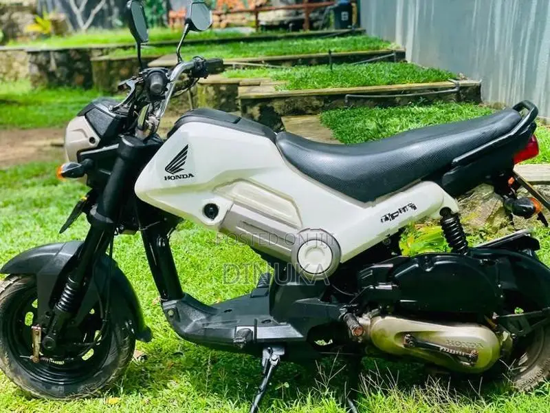 Honda Navi Onlight 2019