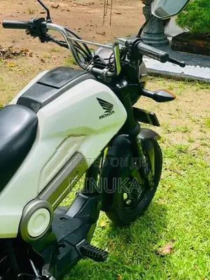 Honda Navi Onlight 2019